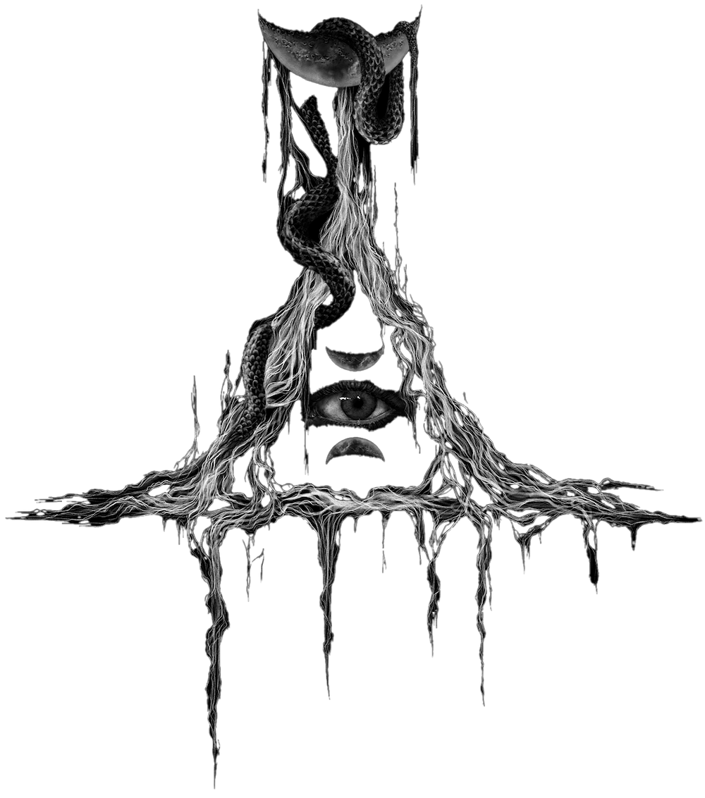 logo-aidonas logo aidonas