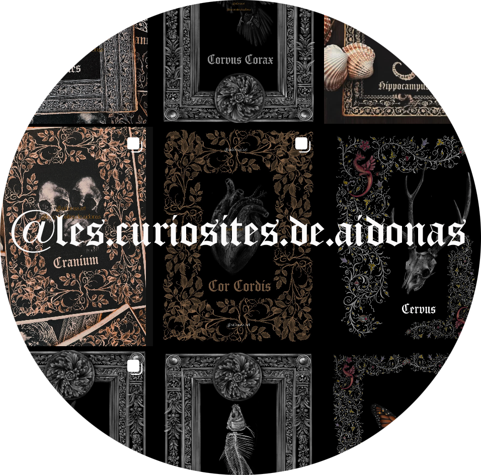 curiosites-circle-name