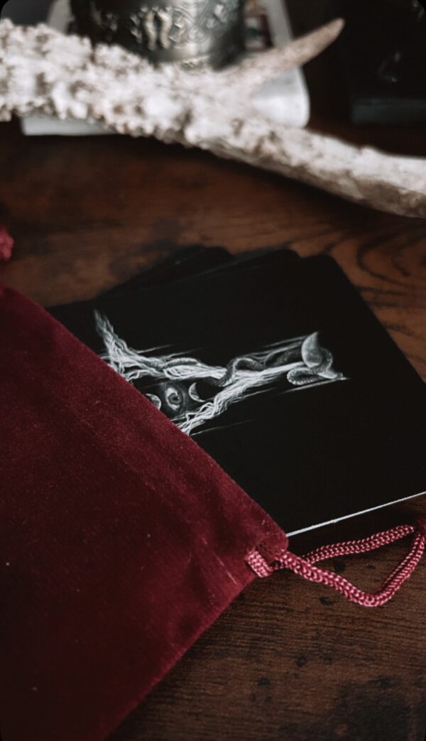 Le Tarot de Aidonas – Image 8