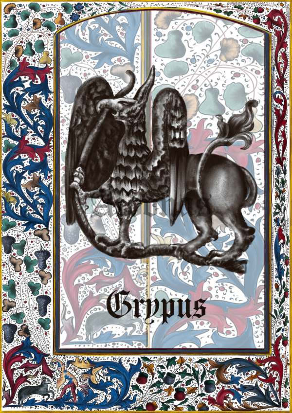 Grypus