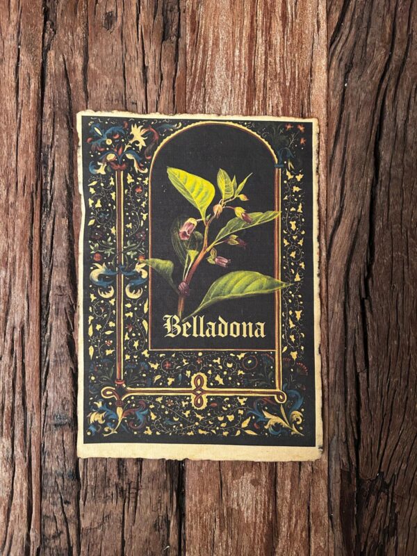 Belladona – Image 8