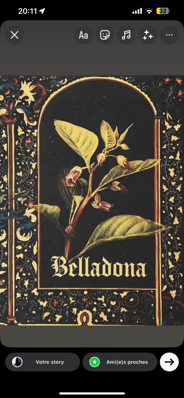 Belladona – Image 7