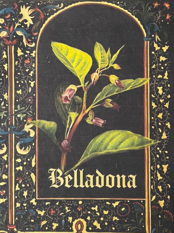 Belladona – Image 2