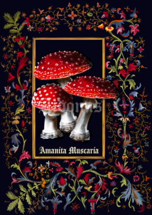 Amanita Muscaria (cadre floral)