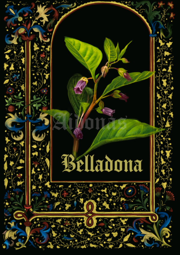 Belladona
