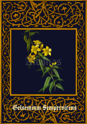 Gelsemium Sempervirens