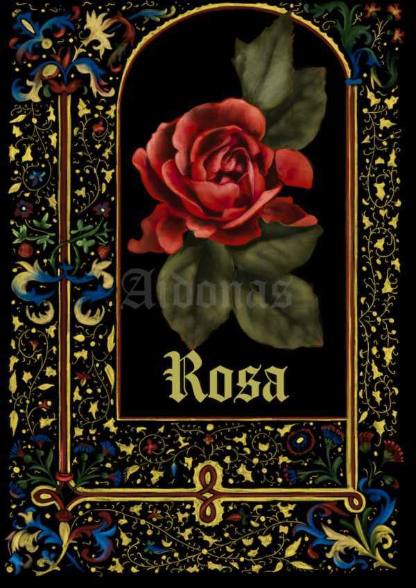 Rosa