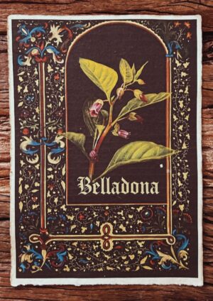 Belladona