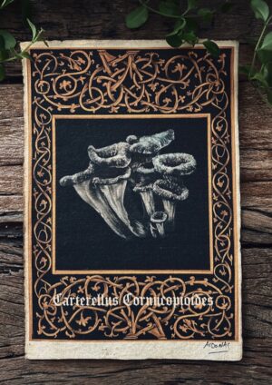 Carterllus Cornucopioides