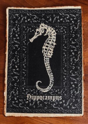 Hippocampus