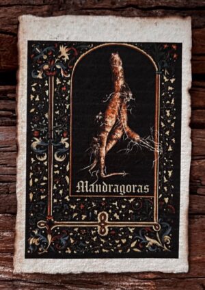 Mandragoras
